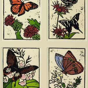 Four Butterflies.jpg